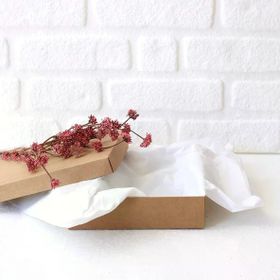 Bimotif 50x70 cm Beyaz 10 Adet Pelur Kağıdı