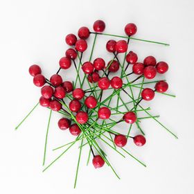 Bimotif Mini Telli Berry Kırmızı 10 Adet Süs