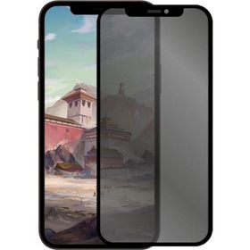 Binano Privacy Antidust Matte Iphone 13 Mini Ekran Koruyucu