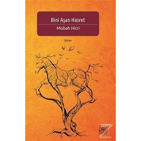 Bini Aşan Hasret - Misbah Hicri