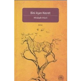 Bini Aşan Hasret - Misbah Hicri