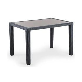 Bintaş Mobilya Antrasit 120x80 cm Bahçe Masası