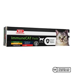 Bio PetActive 100 ml Immune Cat Kedi Macunu