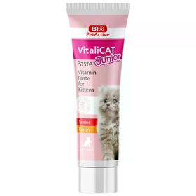 Bio PetActive 100 ml Vitalicat Junior Yavru Kedi Vitamin Paste