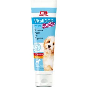 Bio PetActive 100 ml Vitalidog Paste Köpekler için Vitamin