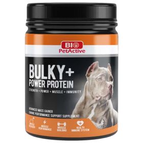 Bio PetActive 368 gr Bulky Power Protein Tozu
