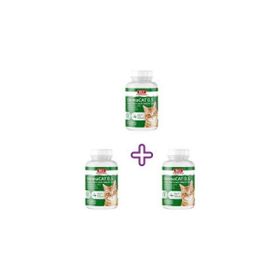 Bio PetActive 3x150 Tablet Dermacat Kediler İçin Sarımsaklı Bira Mayası Tableti