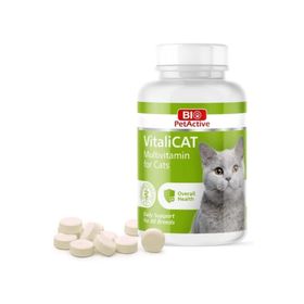 Bio PetActive 60 Adet Vitalicat Kediler İçin Multivitamin Tableti