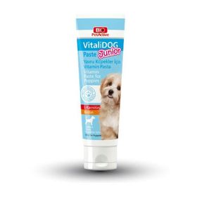 Bio PetActive Vitalidog Junior L-karnitin Ve Biotin 100 ml Yavru Köpek Macunu