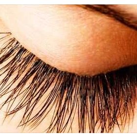 Bio Vitals Kaş Kirpik Bakım Yağı