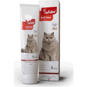 Biofeline Multi Paste 100 gr Kediler İçin Multivitamin Macunu