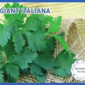 Biogen 25 gr 1 Paket D'Giant İtaliana Maydanoz Tohumu