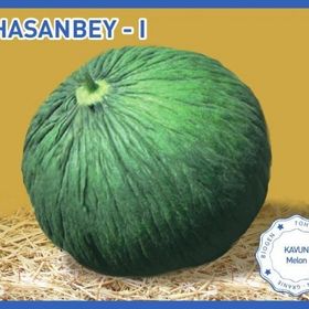 Biogen 25 gr 1 Paket Hasanbey1 Kavun Tohumu