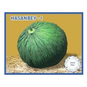 Biogen 25 gr 1 Paket Hasanbey1 Kavun Tohumu
