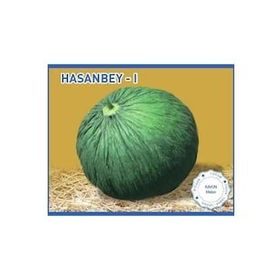 Biogen 25 gr 1 Paket Hasanbey1 Kavun Tohumu