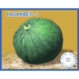 Biogen 25 gr 1 Paket Hasanbey1 Kavun Tohumu
