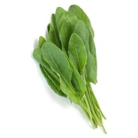 Biogen 25 gr Roka Tohumu