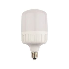 Bioled 20 W Torch Ampül