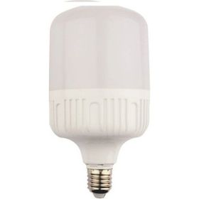 Bioled 20 W Torch Ampül