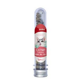 Bioline Catnip 5 gr Kedi Otu