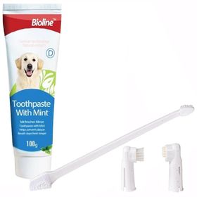 Bioline Nane Aromalı 100 gr Köpek Ağız Bakım Seti