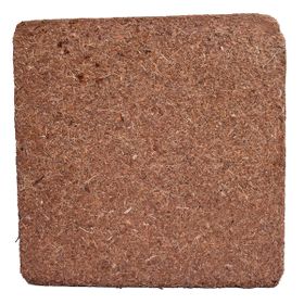 Biorfe 5 kg Premium Cocopeat Sıkıştırılmış Hindistan Cevizi Torfu