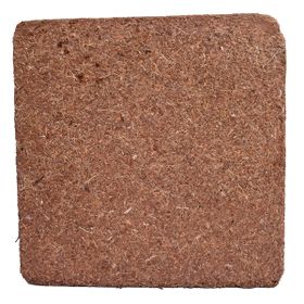 Biorfe 5 kg Premium Cocopeat Sıkıştırılmış Hindistan Cevizi Torfu
