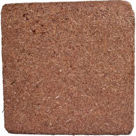 Biorfe 5 kg Premium Cocopeat Sıkıştırılmış Hindistan Cevizi Torfu