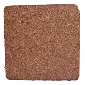 Biorfe 5 kg Premium Cocopeat Sıkıştırılmış Hindistan Cevizi Torfu