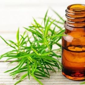 Biorganix Life 20 ml Çay Ağacı Yağı