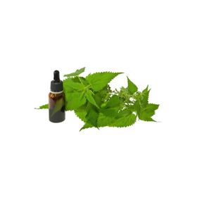 Biorganix Life 20 mL Isırgan Tohumu Yağı