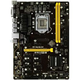 Biostar TB-250-BTC-PRO Anakart