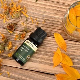 Bioterra 10 ml Aynısafa Yağı