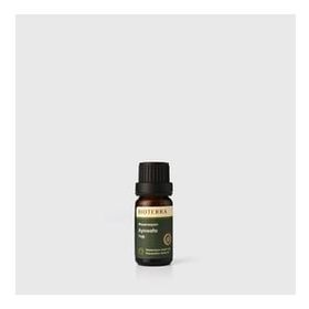Bioterra 10 ml Aynısafa Yağı
