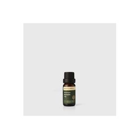 Bioterra 10 ml Aynısafa Yağı