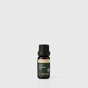 Bioterra 10 ml Kuşburnu Yağı