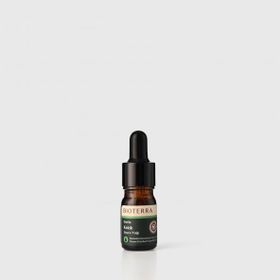 Bioterra 5 ml Kekik Uçucu Yağı
