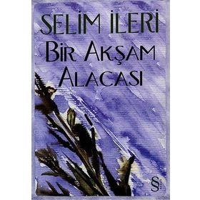 BIR AKŞAM ALACASI - SELIM İLERİ