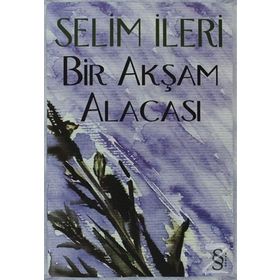 BIR AKŞAM ALACASI - SELIM İLERİ