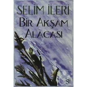 BIR AKŞAM ALACASI - SELIM İLERİ