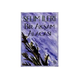BIR AKŞAM ALACASI - SELIM İLERİ