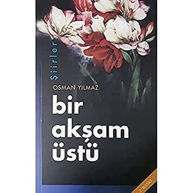 Bir Akşam Üstü - Osman Yılmaz