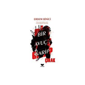 Bir Avuç Garip Çırak Erdem Binici