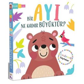 Bir Ayı Ne Kadar Büyüktür? - Lisa Regan