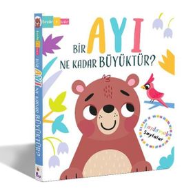 Bir Ayı Ne Kadar Büyüktür? - Lisa Regan