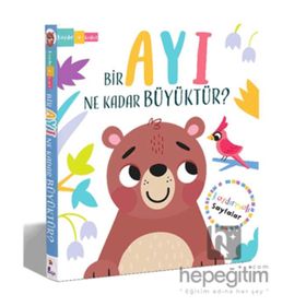 Bir Ayı Ne Kadar Büyüktür? - Lisa Regan