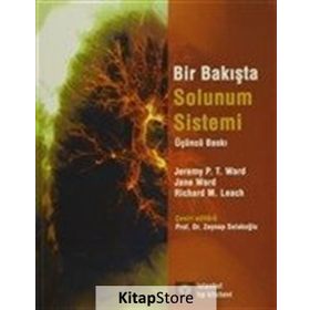 Bir Bakışta Solunum Sistemi - Jeremy P. T. Ward Jane Ward Richard M. Leach