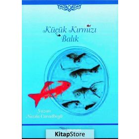 Bir Balık İki Balık Kırmızı Balık Mavi Balık - Dr. Seuss