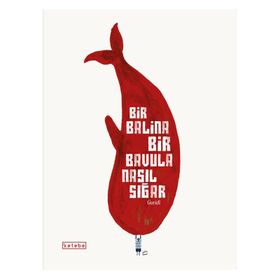 Bir Balina Bir Bavula Nasıl Sığar - Ingrid Chabbert