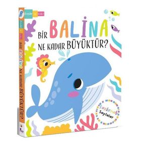 Bir Balina Ne Kadar Büyüktür? İndigo Çocuk